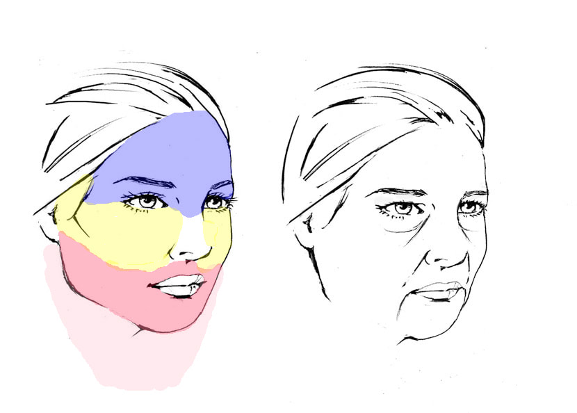 Aging of the three zones of the face leading to the development of the Hammock Lift and the lower facelift and necklift giving comprehensive rejuvenation of the face, including jowls, forehead, brows, upper and lower eyelids, cheeks and neck by Dr. BCK Patel MD, FRCS