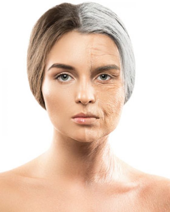 Aging of the face by Dr BCK Patel for Hammock Lift